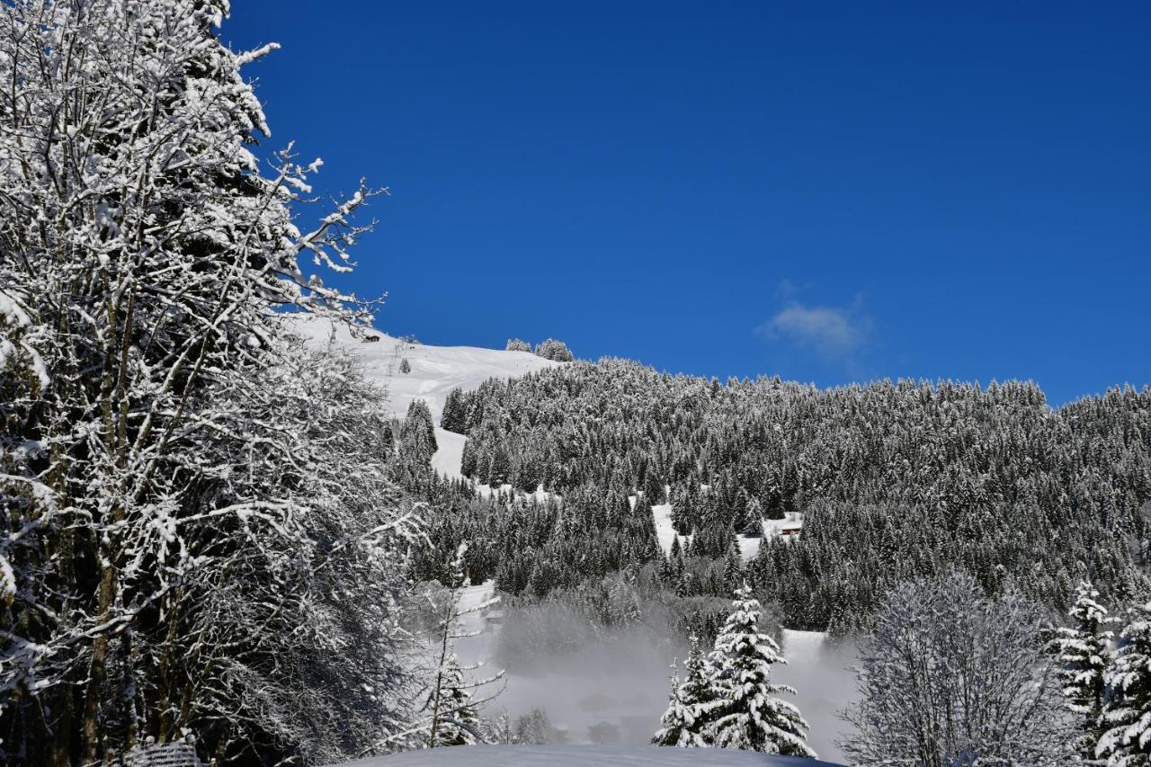 Chalet Orlando Les Gets Esterno foto