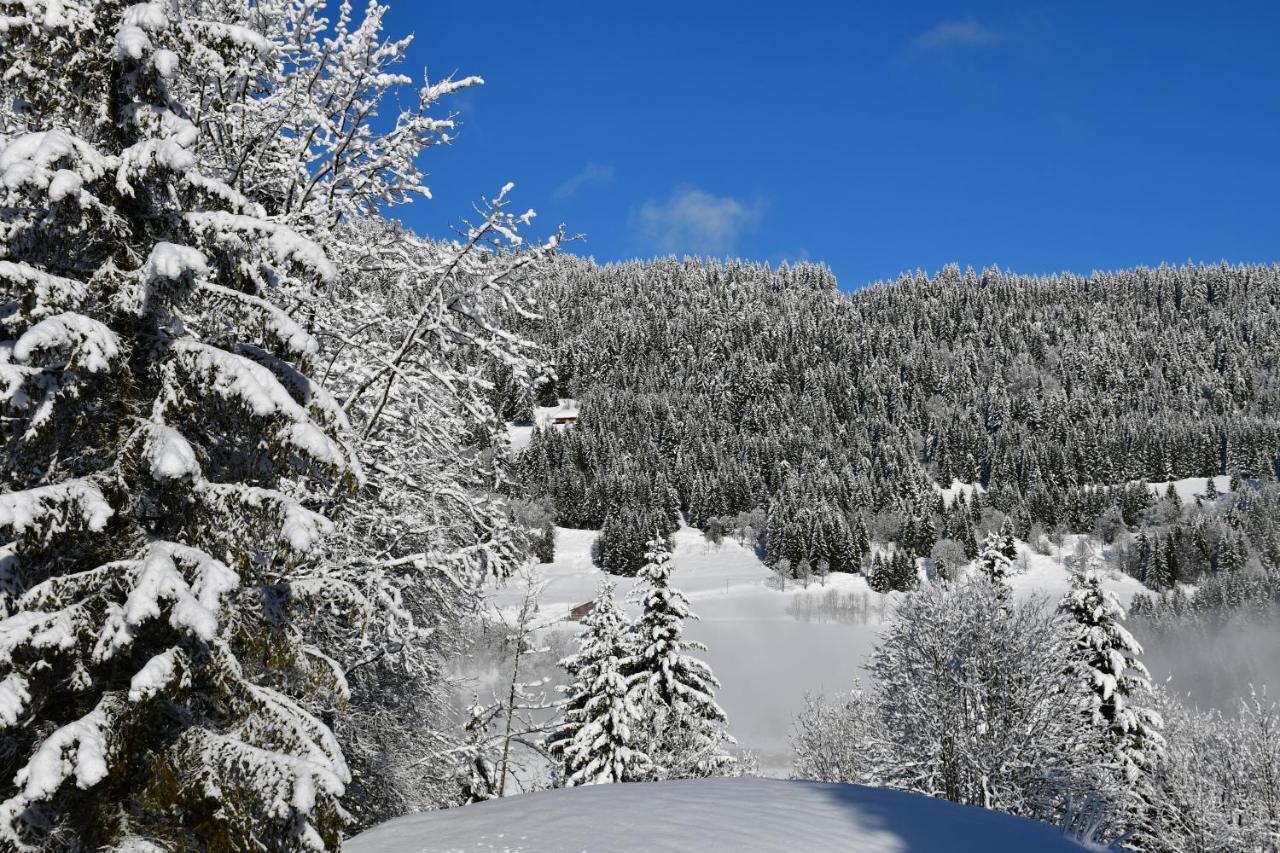Chalet Orlando Les Gets Esterno foto